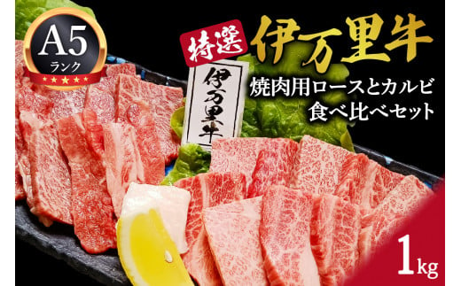 特選伊万里牛（A5）焼肉用ロースとカルビ食べ比べセット 1kg J1102 - 佐賀県伊万里市｜ふるさとチョイス - ふるさと納税サイト