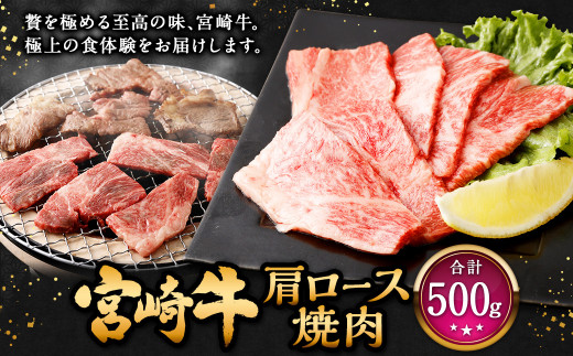 ふるさと納税 宮崎県 新富町 ＜宮崎牛＞リブロース焼肉 900g 宮崎牛焼肉食べ比べ9種盛_32-3101_(都城市) 都城産 宮崎牛 A4ランク
