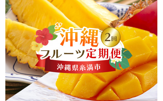 ふるさと納税 マンゴー 沖縄県 国頭村 トロピカル 南国フルーツ定期便 