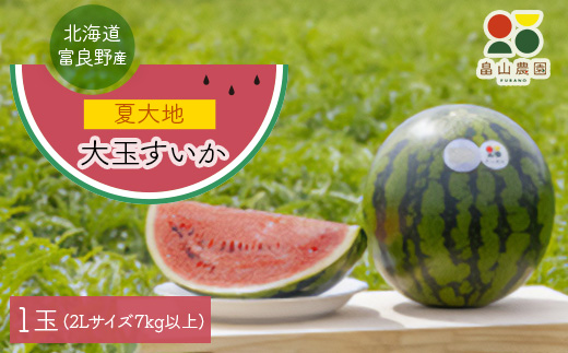 富良野産大玉すいか「夏大地」2Lサイズ7kg以上 1玉【1372204 富良野産大玉すいか「夏大地」2Lサイズ7kg以上 1玉【1372204