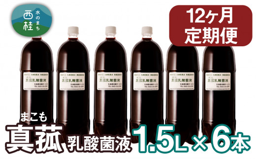 使い勝手の良い 定期便】真菰（まこも）乳酸菌液 12ヶ月定期便 1.5L×6本 その他