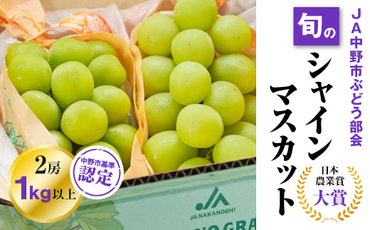 JA中野市から直送 シャインマスカット1kg以上 2024年9月下旬～11月上旬発送_ シャインマスカット 日本農業賞大賞 受賞 マスカット ふるさと  長野県 フルーツ 果物 くだもの ぶどう ブドウ 葡萄 【1272457】 - 長野県中野市｜ふるさとチョイス - ふるさと納税サイト