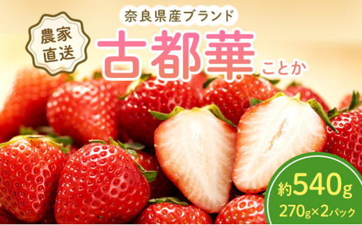 yޗǌaSRszys\z ޗǌY Ós 540g(270g× 2pbN ) Zbg ] t[c ʕ { Yn _ƒ n {̃t[c {̉ʕ   fU[g