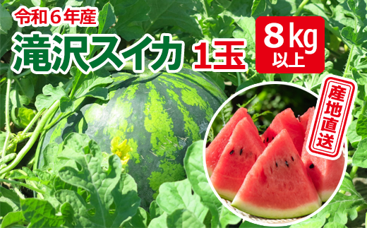 令和６年産＞滝沢スイカ 1玉 8kg以上＜産地直送＞/ すいか 大玉 甘い 美味しい suika 名産地 - 岩手県滝沢市｜ふるさとチョイス -  ふるさと納税サイト