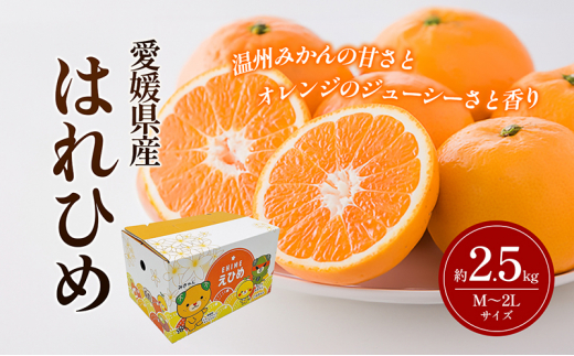 はれひめ M～2Lサイズ 約2.5kg 申込11月30日まで 12月上旬から順次発送