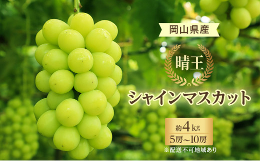 ぶどう 2024年 先行予約 シャイン マスカット 晴王 5房～10房 約4kg 8月下旬～10月下旬発送 ブドウ 葡萄 岡山県産 国産 フルーツ  果物 ギフト - 岡山県里庄町｜ふるさとチョイス - ふるさと納税サイト