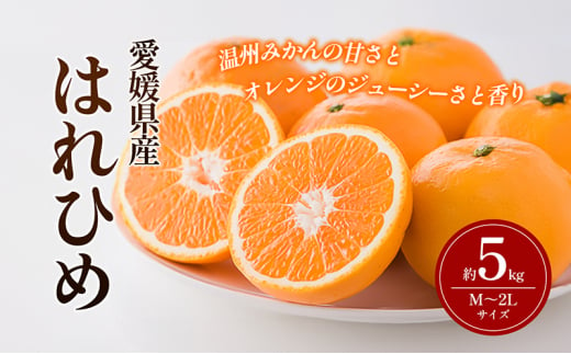 はれひめ M～2Lサイズ 約5kg 申込11月30日まで 12月上旬から順次発送【みかん ミカン オレンジ かんきつ 柑橘 フルーツ 果物 くだもの  おやつ スイーツ 甘い ジューシー 愛媛県】 [№5310-0242] - 愛媛県砥部町｜ふるさとチョイス - ふるさと納税サイト