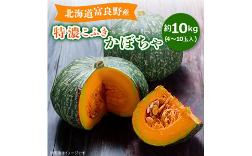 超超希少】コミフォラ カタフ 種子10粒 6月到着新鮮 手早い