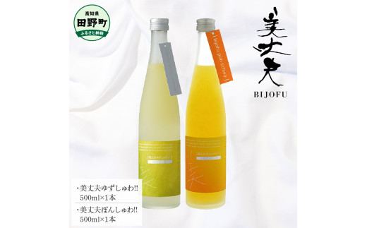 日本酒　四合　十本 味わい尽くしセット 特別純米「四海王 夢吟香(精米歩合60