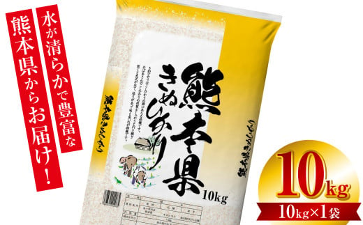 先行予約】 【令和6年産】 ≪新米≫ 熊本県産 森のくまさん10kg（10kg×1袋）お米ひとすじ八代食糧！ オリジナルパッケージ  【2024年10月中旬より順次発送】 - 熊本県八代市｜ふるさとチョイス - ふるさと納税サイト