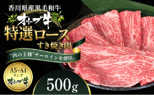 y쌧ωszI[uI[XĂ500g