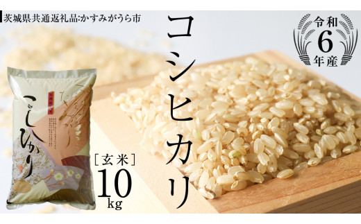 令和6年産 】 コシヒカリ 玄米 10kg ( 10kg × 1袋 ) (茨城県共通