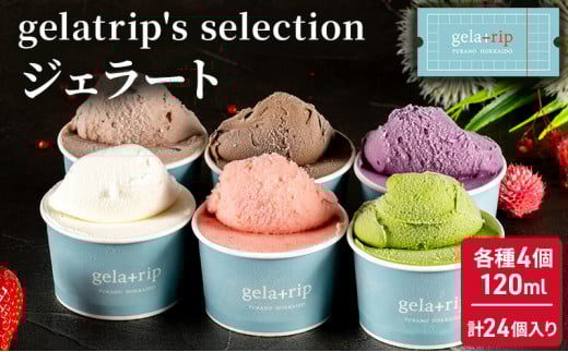 ykCxǖ쒬zgelatrip's selection WF[g24BOX