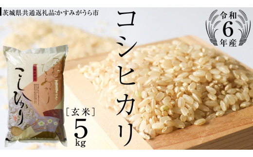 グランドセール 漫画 10kg ( 10kg 玄米 コシヒカリ 】 令和6年産 × (茨城県共通 ) 1袋 米・雑穀・粉類