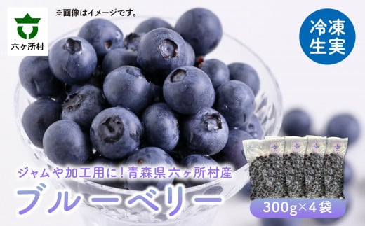 先行予約 2026年7月下旬～順次出荷》冷凍ブルーベリー300g×4袋