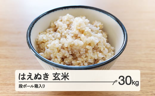 【配送時期が選べる】《先行予約》 2024年産 令和6年産 山形県産 はえぬき 玄米 30kg（段ボール箱入り）（2025年1月後半にお届け）お米  ブランド米 こめ コメ ff-hagxb30-1s