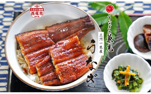 愛知県三河一色産うなぎ蒲焼き 超特大サイズ2尾(合計500g以上) 国産