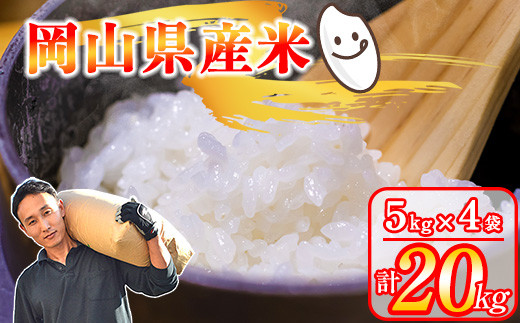 令和6年産 先行予約 岡山県産米 20kg(5kg×4袋) / 関連キーワード くらしき米米 10kg 5kg 15kg 令和5年産 米 9月発送 令和 6年産 岡山県産 朝日 白米 分付き米 5分付き 7分付き 美味しいお米 / - 岡山県早島町｜ふるさとチョイス - ふるさと納税サイト