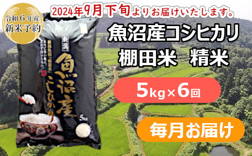 S86P278 【令和6年産 新米予約】魚沼産コシヒカリ・棚田米 白米5kg×6回（毎月）早期受付 2024年9月下旬頃より発送開始 白米 魚沼 米  - 新潟県小千谷市｜ふるさとチョイス - ふるさと納税サイト