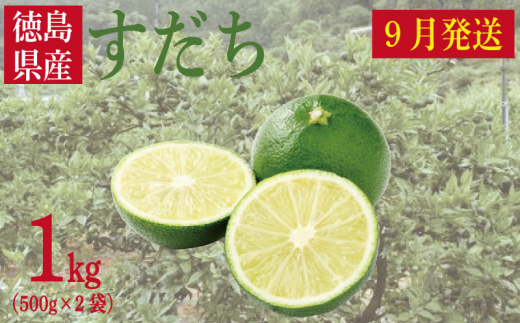 2024年9月発送】徳島県産「すだち」１kg（500g×2袋） - 徳島県｜ふるさとチョイス - ふるさと納税サイト