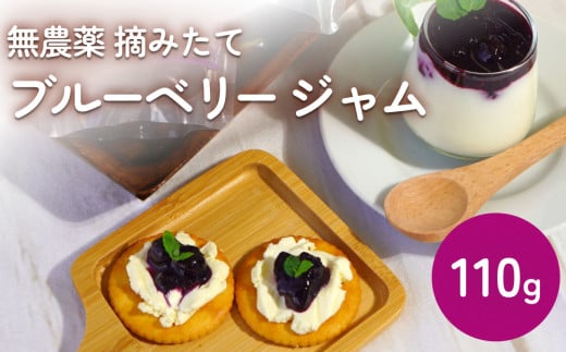 y{錧Ίszu[x[W 110g Y E݂  ʎ 100% AgVAj gbsO