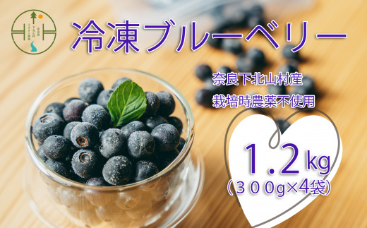 ☆令和7年 冷凍ﾌﾞﾙｰﾍﾞﾘｰ☆農薬不使用 5㌔ ☆令和7年 冷凍ブルーベリー☆農薬不使用 5㌔ - メルカリ
