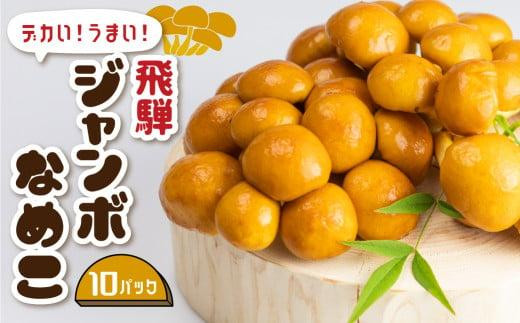 【てし様】岐阜県産　天然なめこ 天然ナメコ なめこ 天然 500g 天然きのこ 岐阜県産 : さるぼぼ山菜便