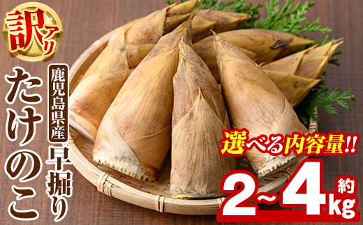 自然栽培 幻の大豆『八天狗』5kg 熊本県産 自然栽培 幻の大豆『