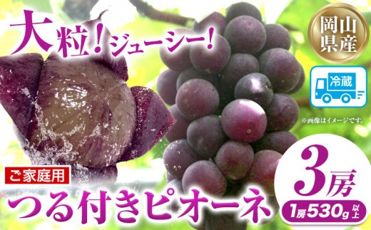 yR}szƒptj[sI[l 3[(1[530gȏ)yzsn悠zLЃz[eBJ`[_ ߘa8NYsts9{-10{oׁtR }s 