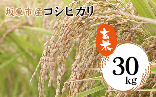 茨城県筑西市産コシヒカリ 30kg