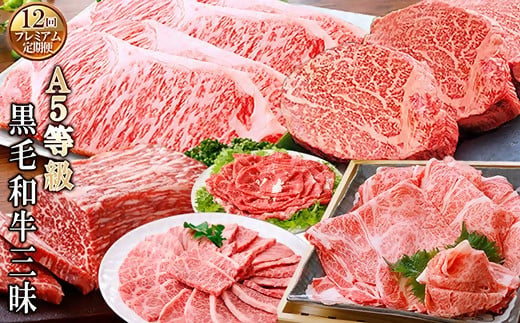 定期便(12回)鹿児島県産A5等級黒毛和牛三昧 JJ-0017_ 肉 お肉 牛肉 霜降り シャトーブリアン 赤身 ブロック 切り落とし サーロイン  ステーキ 焼肉 すき焼き すきやき しゃぶしゃぶ 人気 送料無料 【1166761】 - 鹿児島県枕崎市｜ふるさとチョイス - ふるさと納税サイト