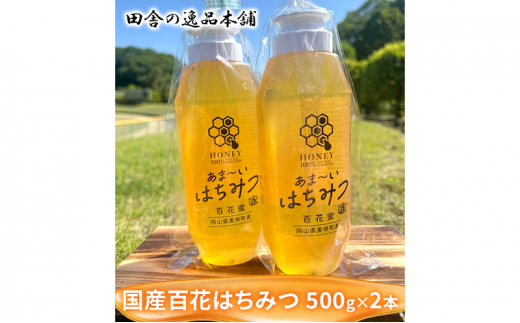 №5757-0402]美咲町産 搾りたて 純粋 はちみつ 500g×2本 百花 国産 蜂蜜 ハチミツ - 岡山県美咲町｜ふるさとチョイス -  ふるさと納税サイト