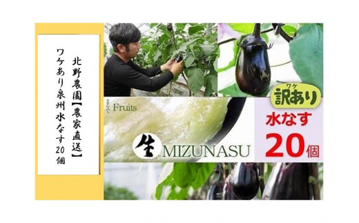 北野農園【農家直送】ワケあり泉州水なす20個 /訳あり 家庭用 不揃い 規格外 生なす 泉州水なす 水なす 泉州水ナス 水ナス 茄子 -  大阪府貝塚市｜ふるさとチョイス - ふるさと納税サイト