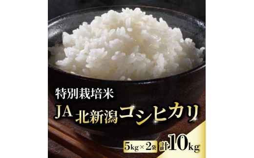 令和5年産 JA北新潟コシヒカリ5㎏×2袋 特別栽培米【 新潟県産 新発田産 米 コシヒカリ JA北新潟 特別栽培米 5kg 2袋 10kg D04  】 - 新潟県新発田市｜ふるさとチョイス - ふるさと納税サイト