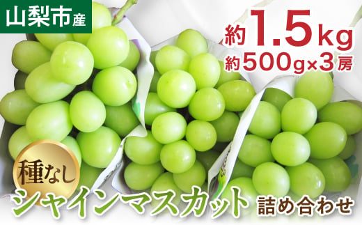 山梨市産「シャインマスカット(種なし)」詰め合わせ 約1.5kg (約500g×3房)【1117303】 - 山梨県山梨市｜ふるさとチョイス -  ふるさと納税サイト