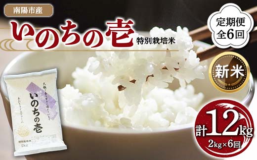 令和6年産 新米 先行予約】 【金賞受賞農家】 《定期便3回》 特別栽培米 いのちの壱 計4kg(2kg×2袋)×3か月 《令和6年10月中旬～発送》  『あおきライスファーム』 山形南陽産 米 白米 精米 ご飯 農家直送 山形県 南陽市 [1600-R6] 山形県南陽市｜ふるさとチョイス ...