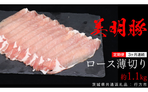 y錧vszy 3 A  z [X؂ 1.1kg i錧ʕԗiFssj т߂Ƃ rCg uh   ؓ  錧Y Y Ⓚ ؃[X 