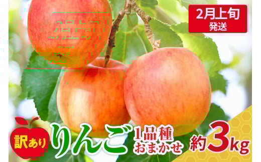 yX܏쌴szy2026N2{z܂ 󂠂  3kg i7`12xj X |Iׂz|   X ܏쌴 3kg x