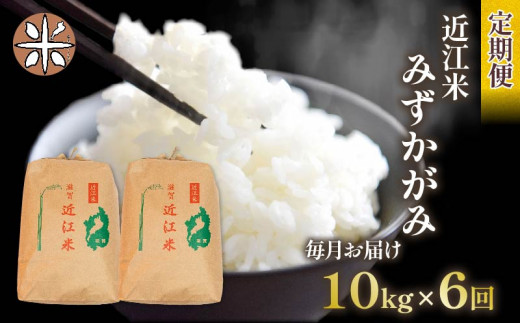 令和6年産 新米 みずかがみ 定期便 10kg 全6回 白米 5㎏ × 2袋 6ヶ月 