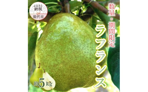 yHc\szyʁEԌzm̏utXv 5kg m2025N11{oח\nHc \s tX m t[c ʕ 