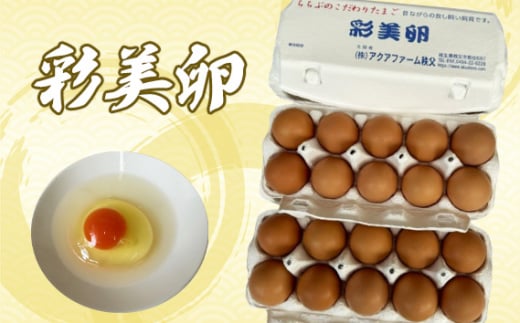 yʌszNo.425 ʔ20 ^ ܂ ^}S   ʌ