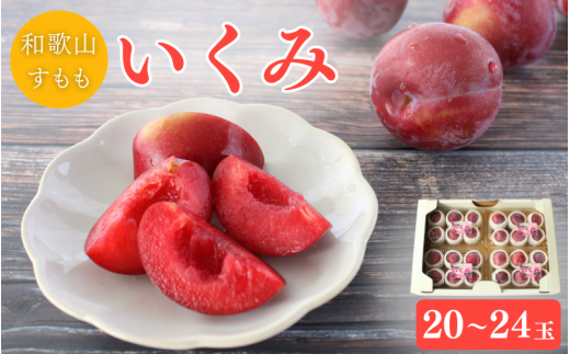 先行予約＞すもも（いくみ）4パック ※2026年6月上旬～6月中旬頃に順次