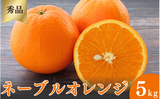 ネーブルオレンジ 先行予約＞ネーブルオレンジ【秀品】5kg ※2026年3月上旬～4月
