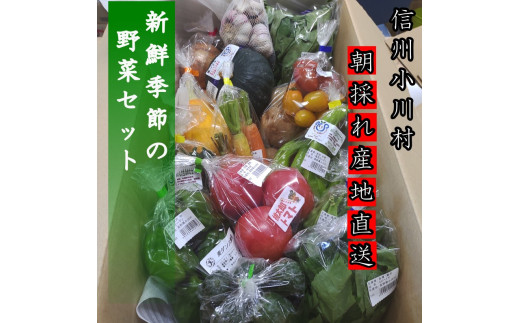 408＊さんさん市場 やさい名人がチョイスする新鮮季節の野菜2回セット - 長野県小川村｜ふるさとチョイス - ふるさと納税サイト