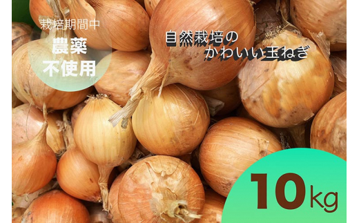 ys{Tszy2026NY \z܂˂ 10kg R͔|̂킢ʂ˂i܂˂js{ETY ƃI[KjbNt@[肨͂ b 󂠂 ʔK ^}lM  TCY