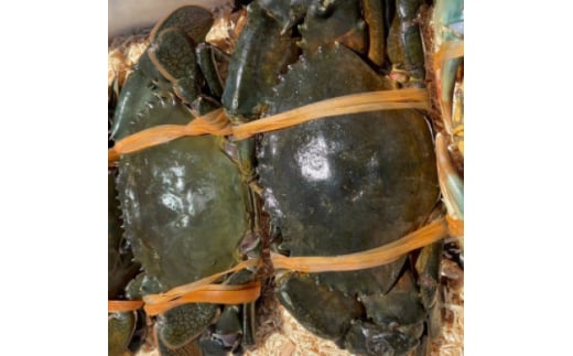 yÉΐszlΎYhE}Kj̃JWPW 2ty1499174z