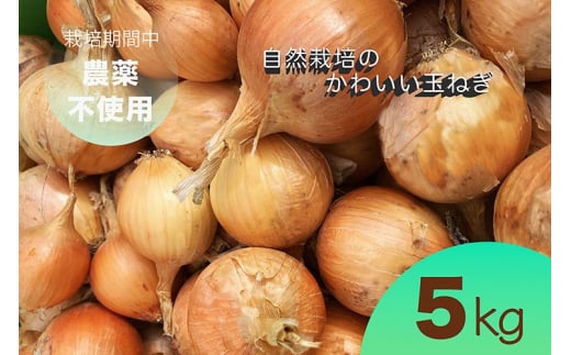 ys{Tszy2026NY \z܂˂ 5kg R͔|̂킢ʂ˂i܂˂js{ETY ƃI[KjbNt@[肨͂ b 󂠂 ʔK ^}lM  TCY