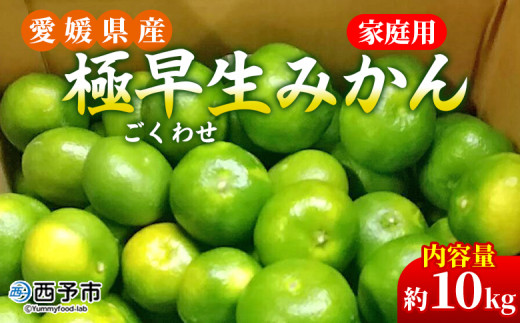 先行予約＜愛媛県産 極早生みかん 約10kg ご家庭用＞ 温州みかん 家庭用 訳あり 果物 ミカン 柑橘 フルーツ 選べる 食べて応援 特産品 段畑みかん  愛媛県 西予市【常温】 - 愛媛県西予市｜ふるさとチョイス - ふるさと納税サイト