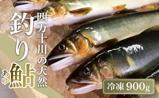 四万十川上流の天然鮎 釣り鮎 900g ( 冷凍 4～14尾 ) 鮎 あゆ アユ 川魚 高知県 四万十 天然 冷凍 -  高知県中土佐町｜ふるさとチョイス - ふるさと納税サイト