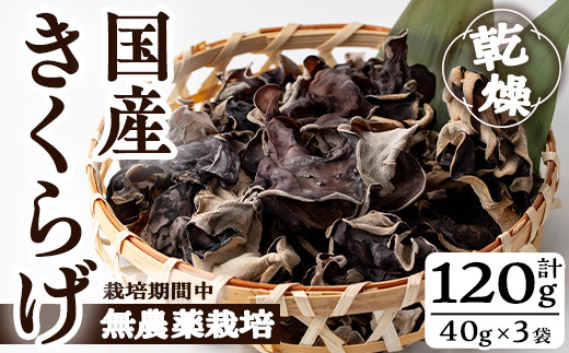 国産きくらげ(計120g・3袋)国産 キクラゲ 常温【九南サービス